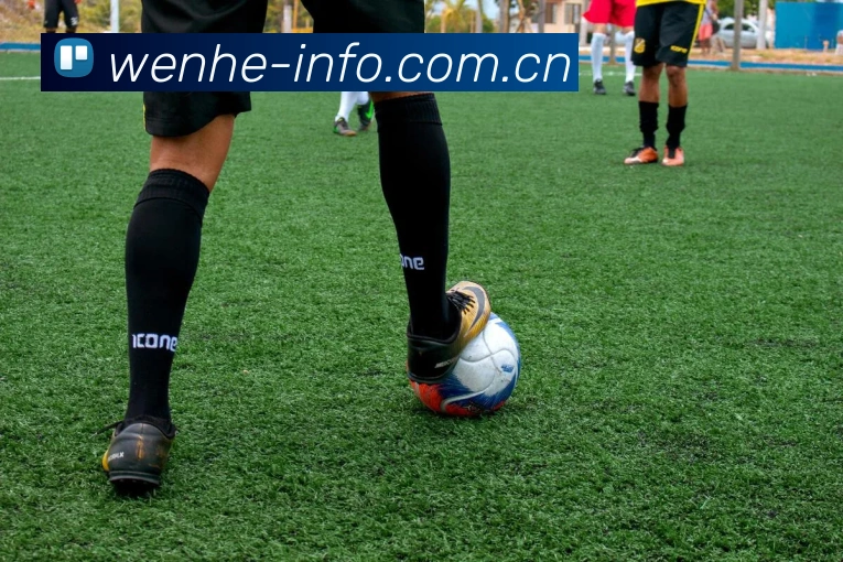 leyu乐鱼登录入口发展历程